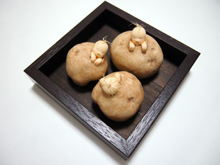 高橋操作品