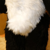 「バイバイ、またね!」天音心音