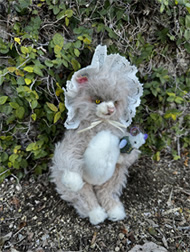 「miu ネズミさんと一緒」hirota mikako