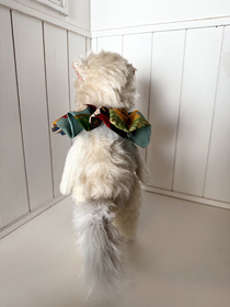 「しらたま」hirota mikako