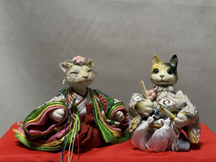 「猫雛」壱師
