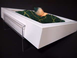 立体額「ゴーヤ」高橋操